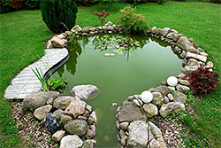Water Features And Ponds