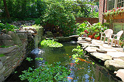 Water Features And Ponds
